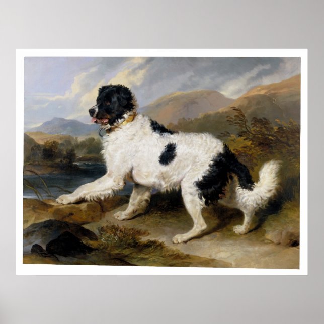 Edwin Henry Landseer Lion A Newfundland Dog Poster (Vorne)