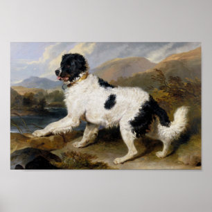 Edwin Henry Landseer Löwe - Ein Neufundland Poster