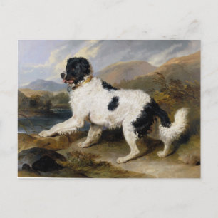 Edwin Henry Landseer Löwe ein Neufundländer Postkarte