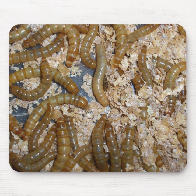 Eeewww… - Mousepad (Vorne)