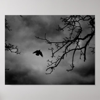 Eerie Bird im Flug Poster