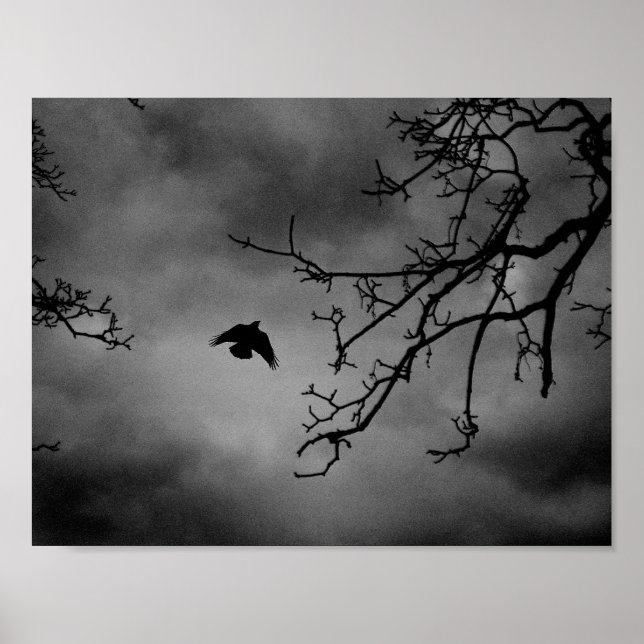 Eerie Bird im Flug Poster (Vorne)