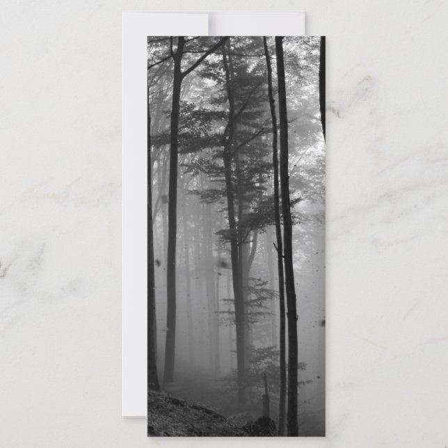 EERIE FOREST TREES BLÄTTER B&W (Vorderseite)