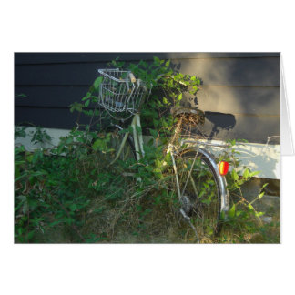 Efeu bedeckte Fahrrad