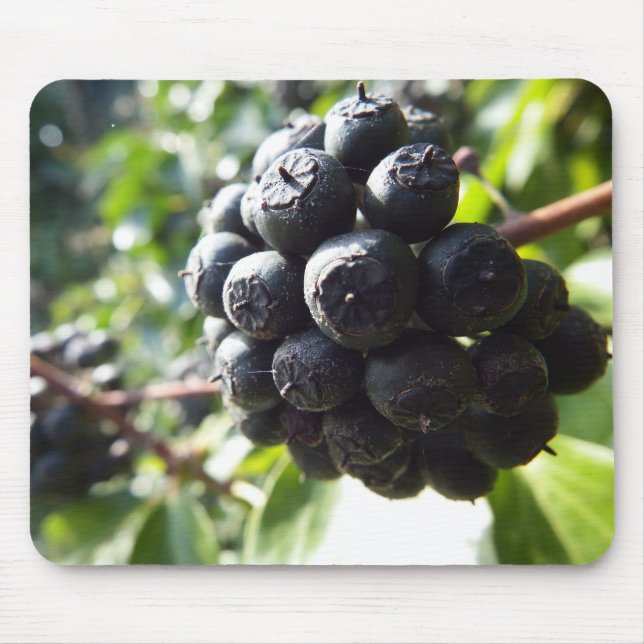 Efeu-Beeren Mousepad (Vorne)