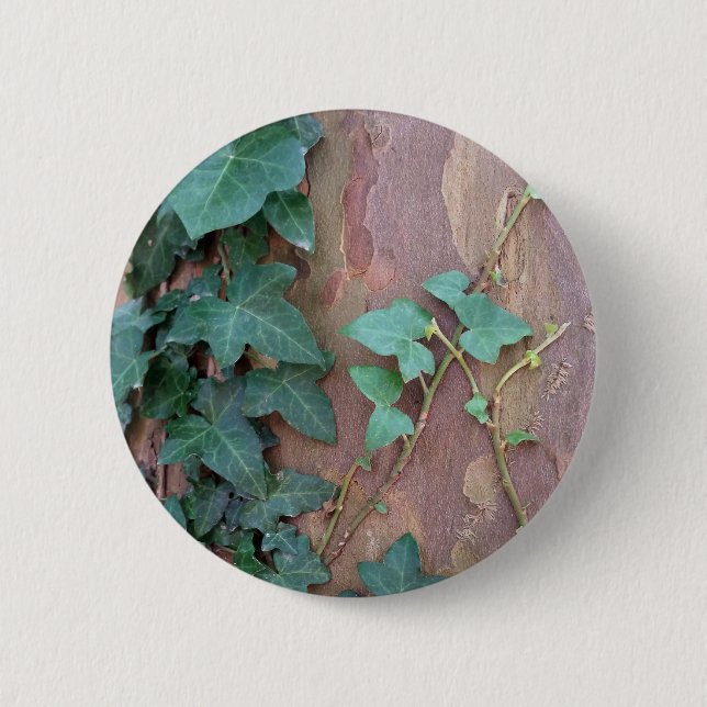 Efeu Button (Vorderseite)