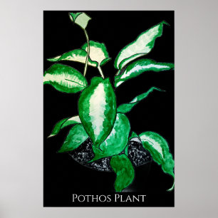 Efeu-Plant Poster