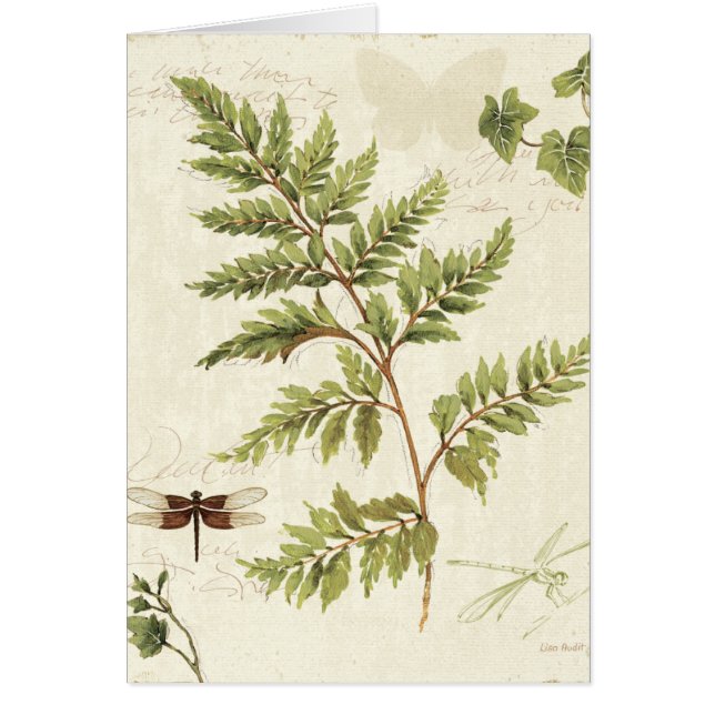 Efeu und Farne (Vorne)