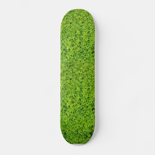 Efeu-Wand-Hintergrund Skateboard (Vorderseite)