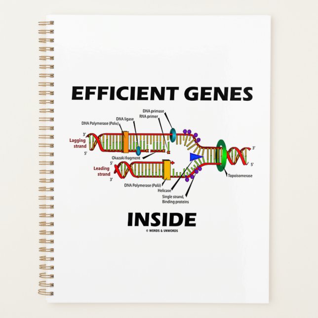 Effiziente Gene im Spaß der DNA-Replikation Planer (Vorderseite)
