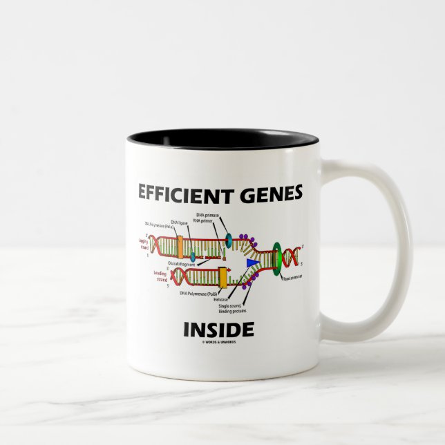 Effiziente Gene innerhalb (DNA-Replikation) Zweifarbige Tasse (Rechts)
