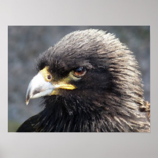 EGAL POSTER (Vorne)