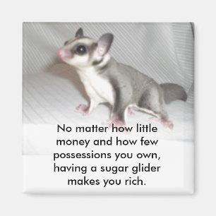 Egal wie wenig Geld und wie teuer ... Magnet