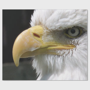 EGELGEBURT GESCHENKPAPIER