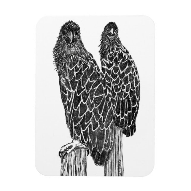 EGELSCHLINGE FUN LOUNGING + FISCHEN AN DER STELLE MAGNET (Vertikal)