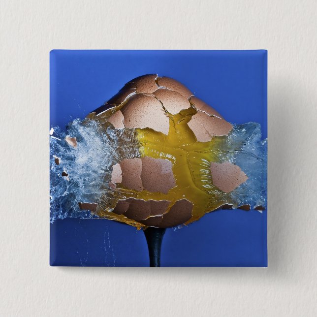 Eggceptional Button (Vorderseite)