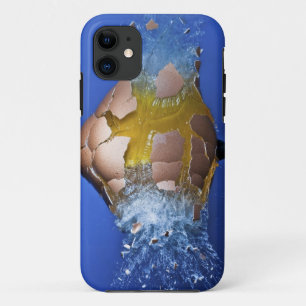 Eggceptional iPhone 11 Hülle