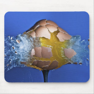 Eggceptional Mousepad