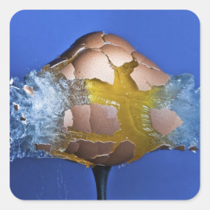 Eggceptional Quadratischer Aufkleber