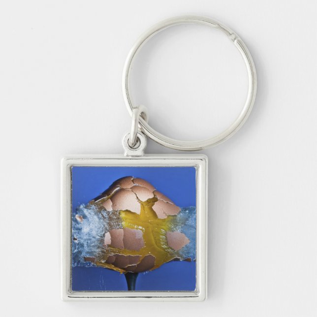 Eggceptional Schlüsselanhänger (Vorne)