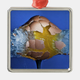 Eggceptional Silbernes Ornament
