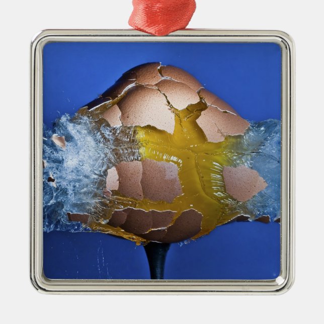 Eggceptional Silbernes Ornament (Vorne)