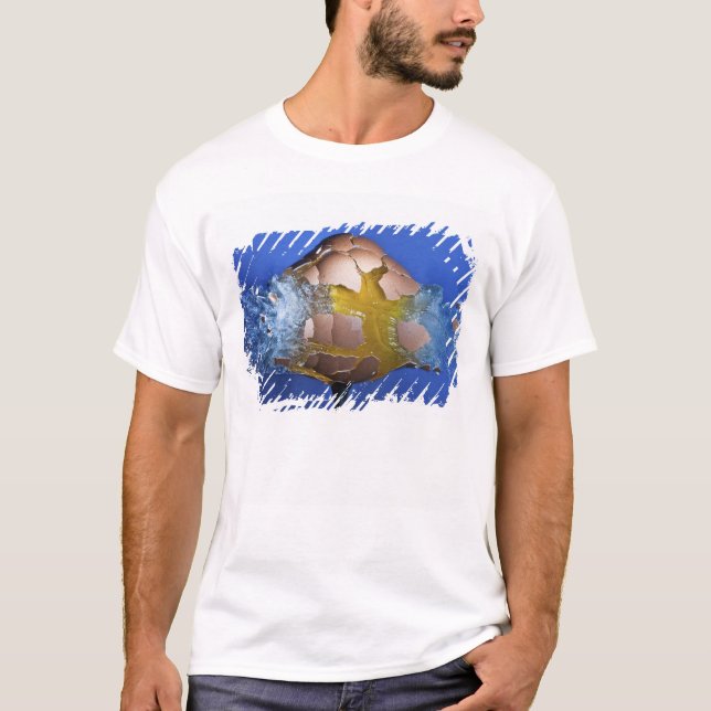 Eggceptional T-Shirt (Vorderseite)