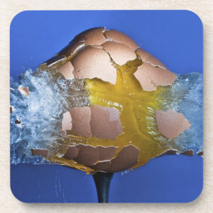 Eggceptional Untersetzer