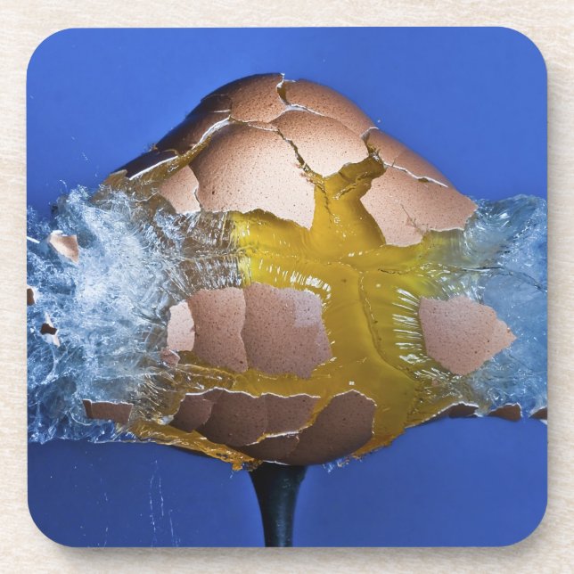 Eggceptional Untersetzer (Vorderseite)