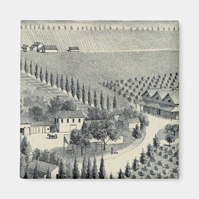 Eggers Vineyard, Fresno Magnet (Vorne)