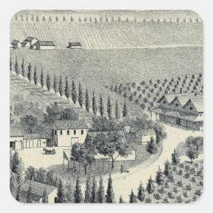Eggers Vineyard, Fresno Quadratischer Aufkleber