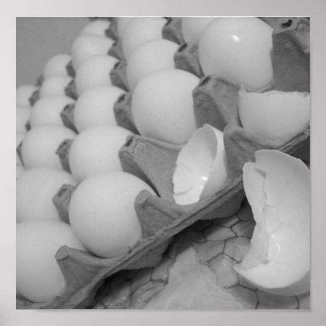 eggies Poster (Vorne)