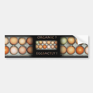 EGGSACTLY AUTOAUFKLEBER