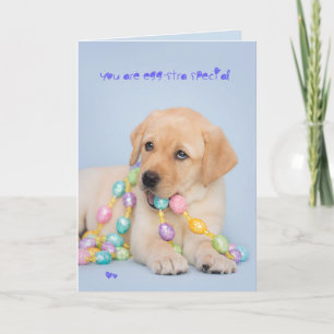 Eggstra special yellow labrador puppy easter feiertagskarte