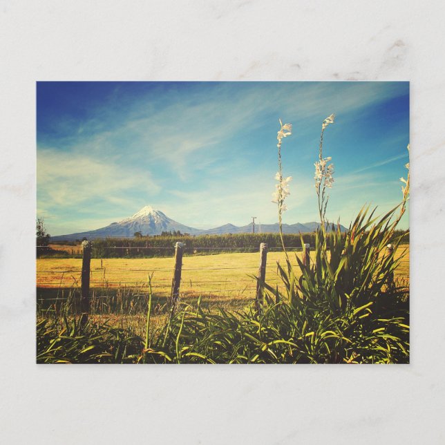 Egmont Village Postcard Postkarte (Vorderseite)