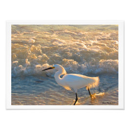 Egret at Sunset on Beach Fotografy Print Fotodruck