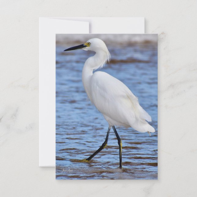 Egret auf der Strandkarte Dankeskarte (Vorderseite)