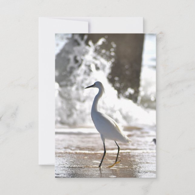 Egret auf der Strandkarte Dankeskarte (Vorderseite)