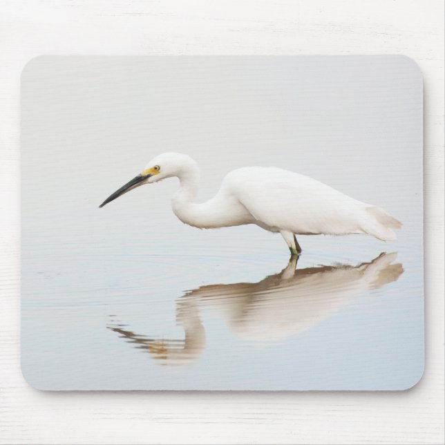 Egret auf einem noch bewachsenen Teich Mousepad (Vorne)