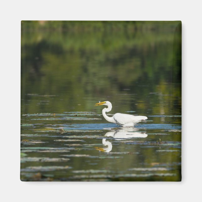 Egret Fish Fest Magnet (Vorne)
