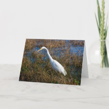 Egret Greeting Card