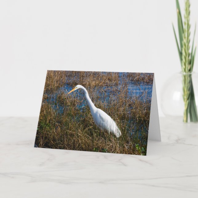 Egret Greeting Card Karte (Vorderseite)