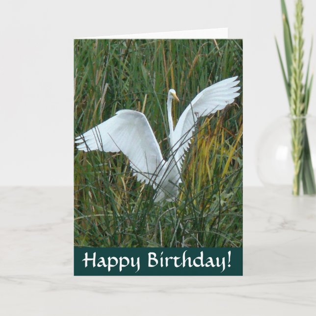 Egret Happy Birthday Card Karte (Vorderseite)