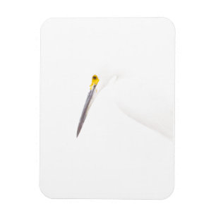 Egret-Headshot Magnet