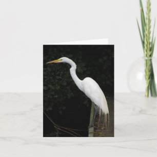 Egret Note Card Karte