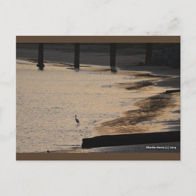 Egret on Shore II | Blue Beach Song™ Postkarte (Vorderseite)