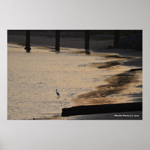 Egret on Shore II Poster