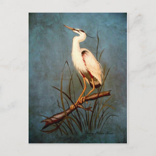 Egret Postkarte