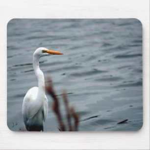 Egret (Weißheron), am Ufer stehend Mousepad