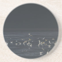 Egrets am Mitternachtsblau